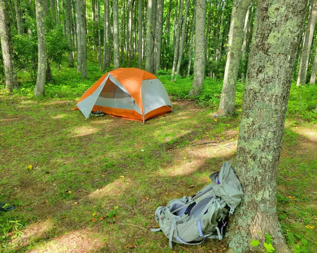 Winding path through green trees and open meadows inviting casual exploration at a gentle pace